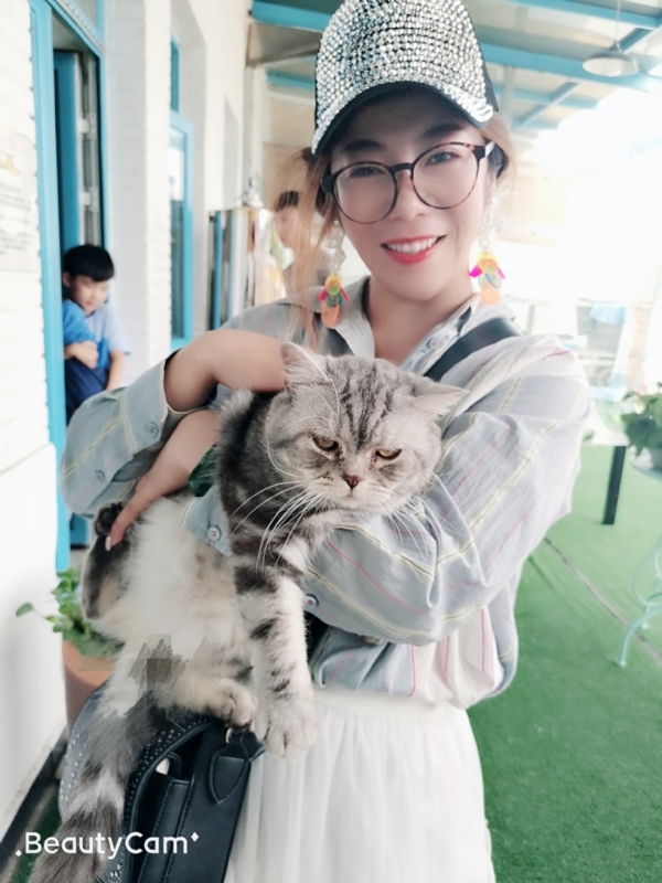 小黑猫的第一张照片--邯郸相亲服务中心