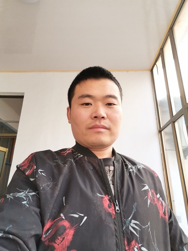 会飞的猪的第一张照片--邯郸相亲服务中心