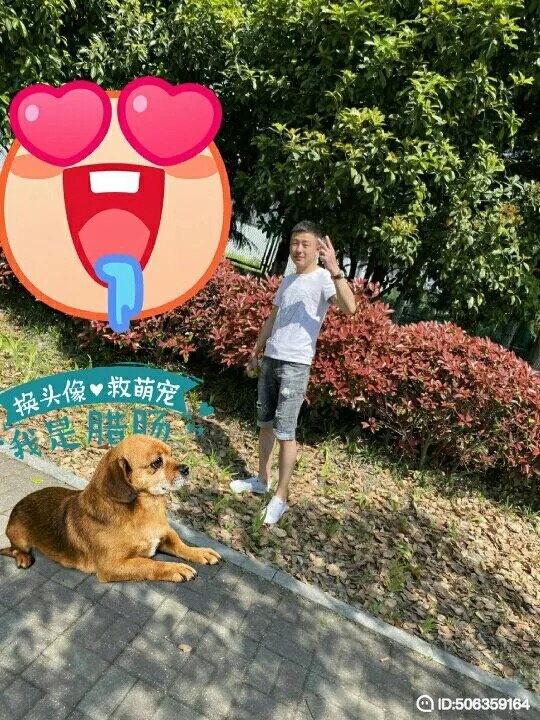 我若不坚强谁替我勇敢的第五张照片--邯郸相亲服务中心