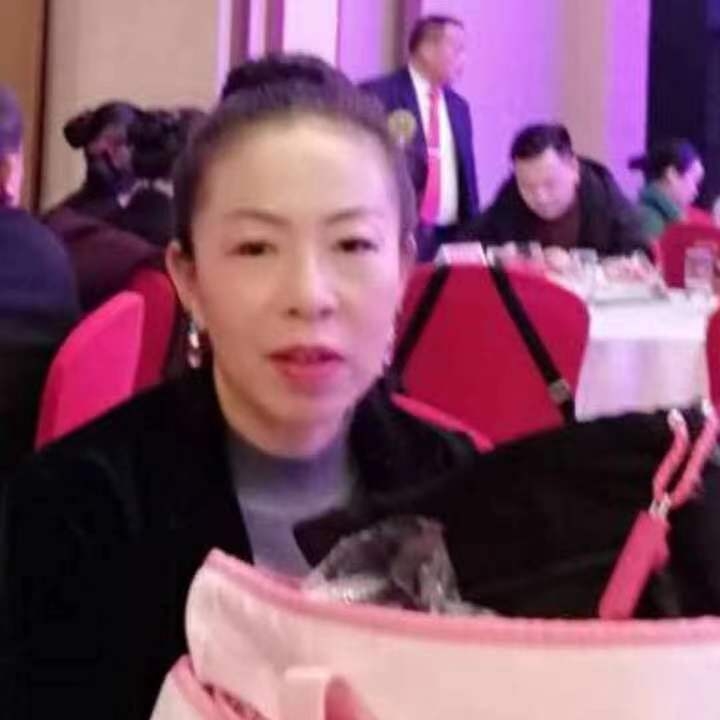 中秋桂花玉兔的第四张照片--邯郸相亲服务中心