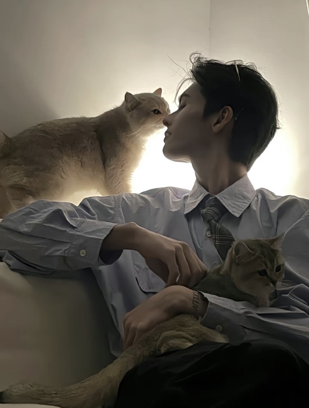 怪猫的第一张照片--邯郸相亲服务中心